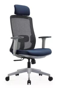 cadeira-ergonomica-blume-blm189-azul-cinza (1)