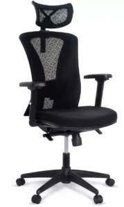 cadeira-ergonomica-blumeoffice-blm0241-blume