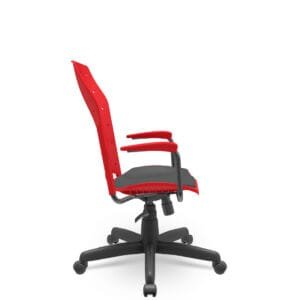 ergoplax-presidente-11-2